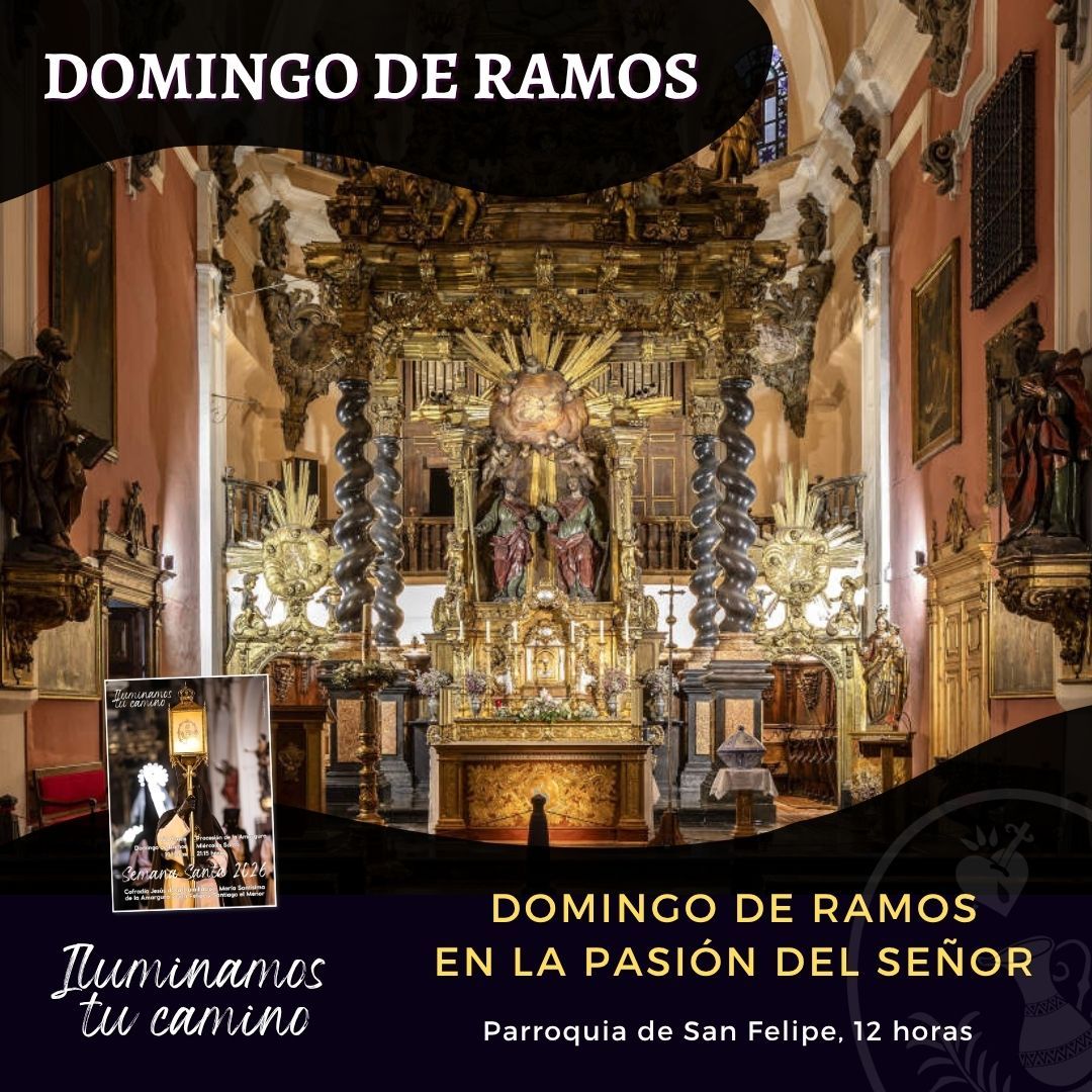 En este momento estás viendo Domingo de Ramos en la Pasión del Señor